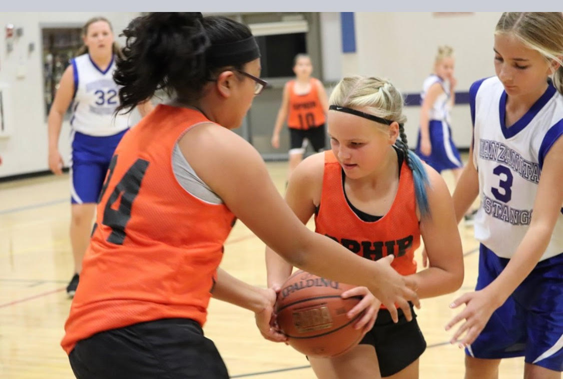 basketball