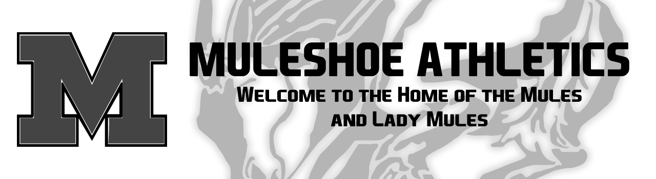 Athbanner
