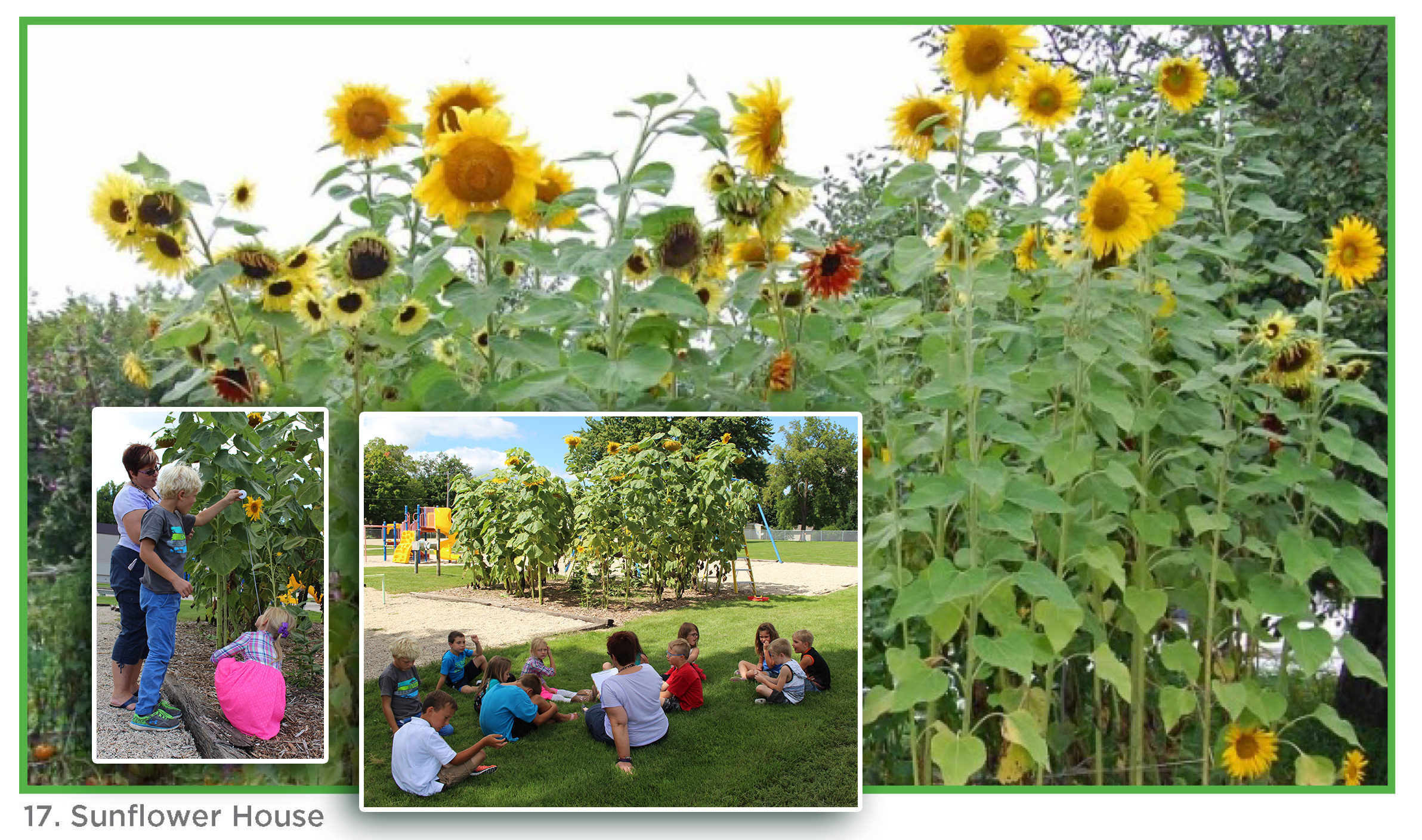 Sunflower House