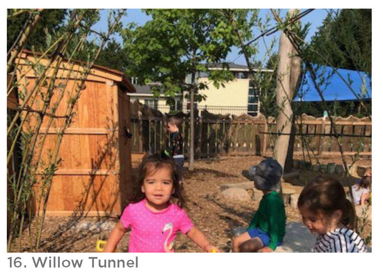 Willow Tunnel