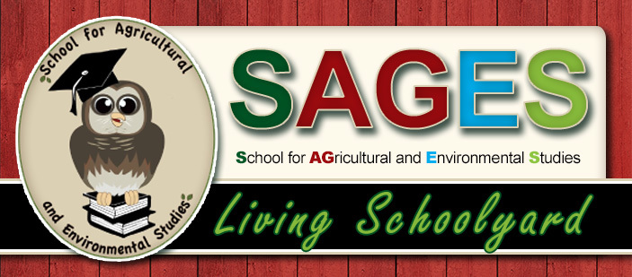 SAGES - LIVING SCHOOLYARD