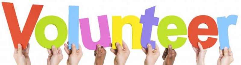 Volunteer