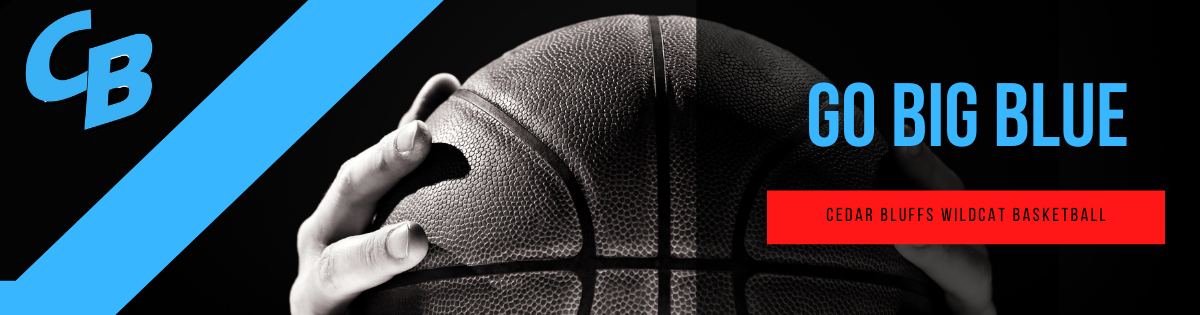 basketball image