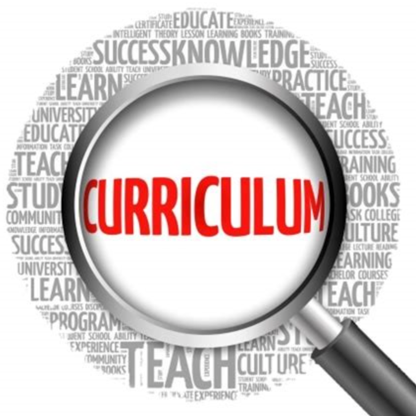 curriculum