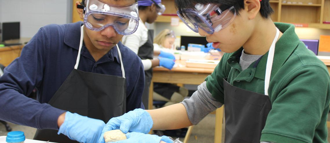 Students doing science