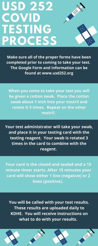 A graphic describing the COVID-19 testing process.