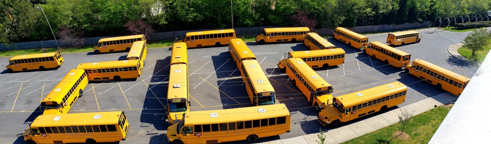 School Bus 2021