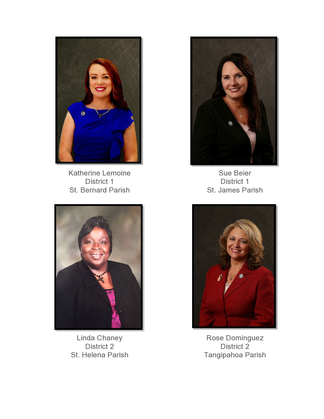 officers of the board