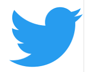 Twitter Logo