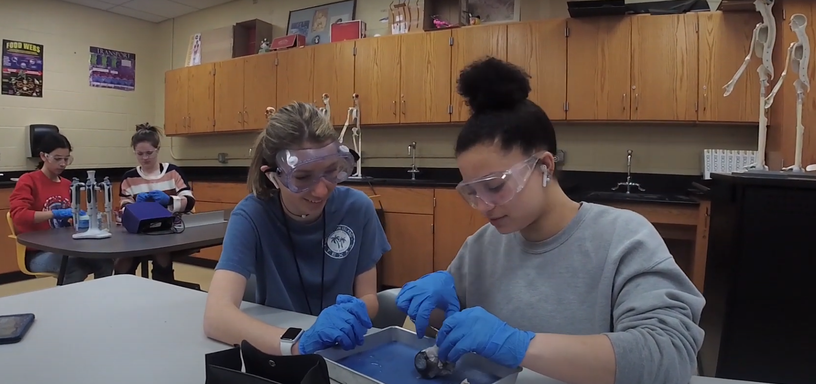 Biomed