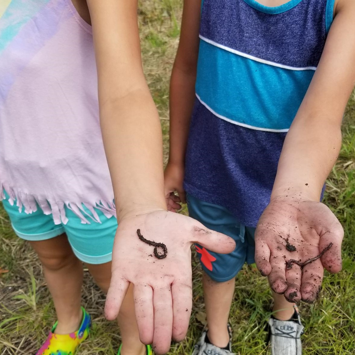 Summer School Science