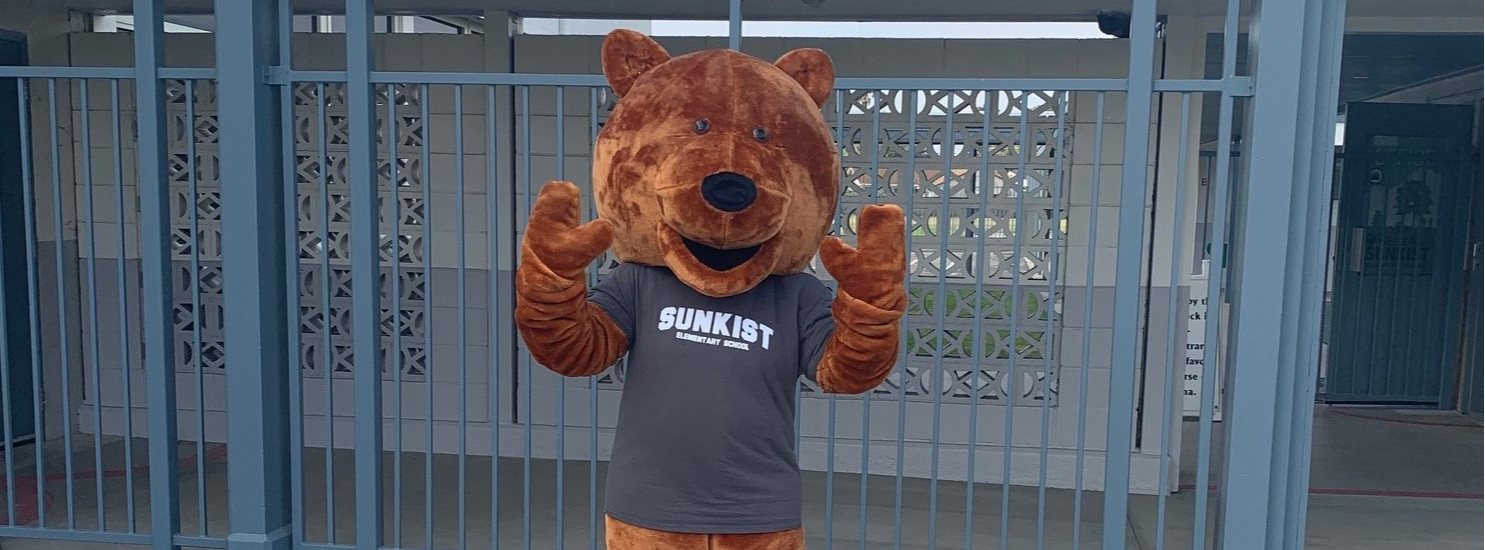 Sunkist Bear Mascot