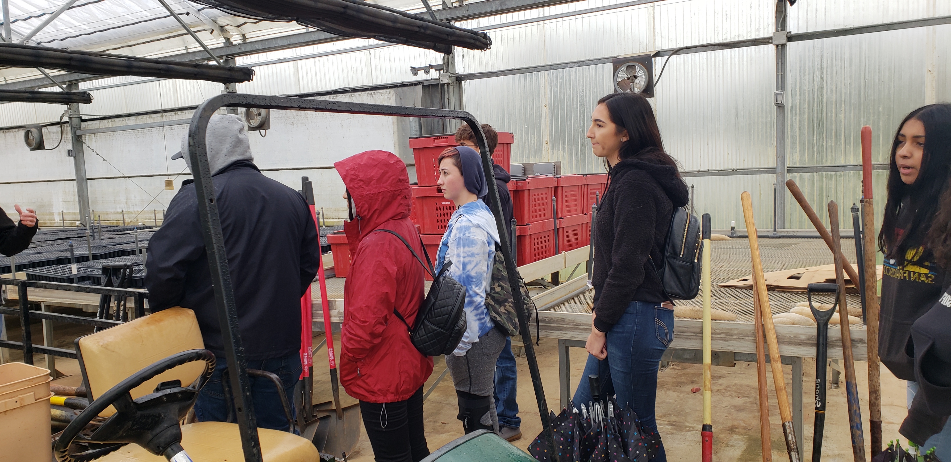 A photo of an agriculture activity.