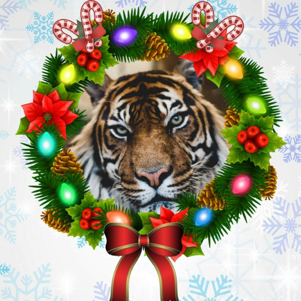 Happy Holidays Tigers!