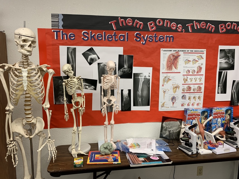 Health & Medicine Lab