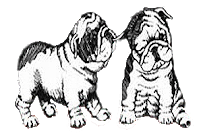 dogs