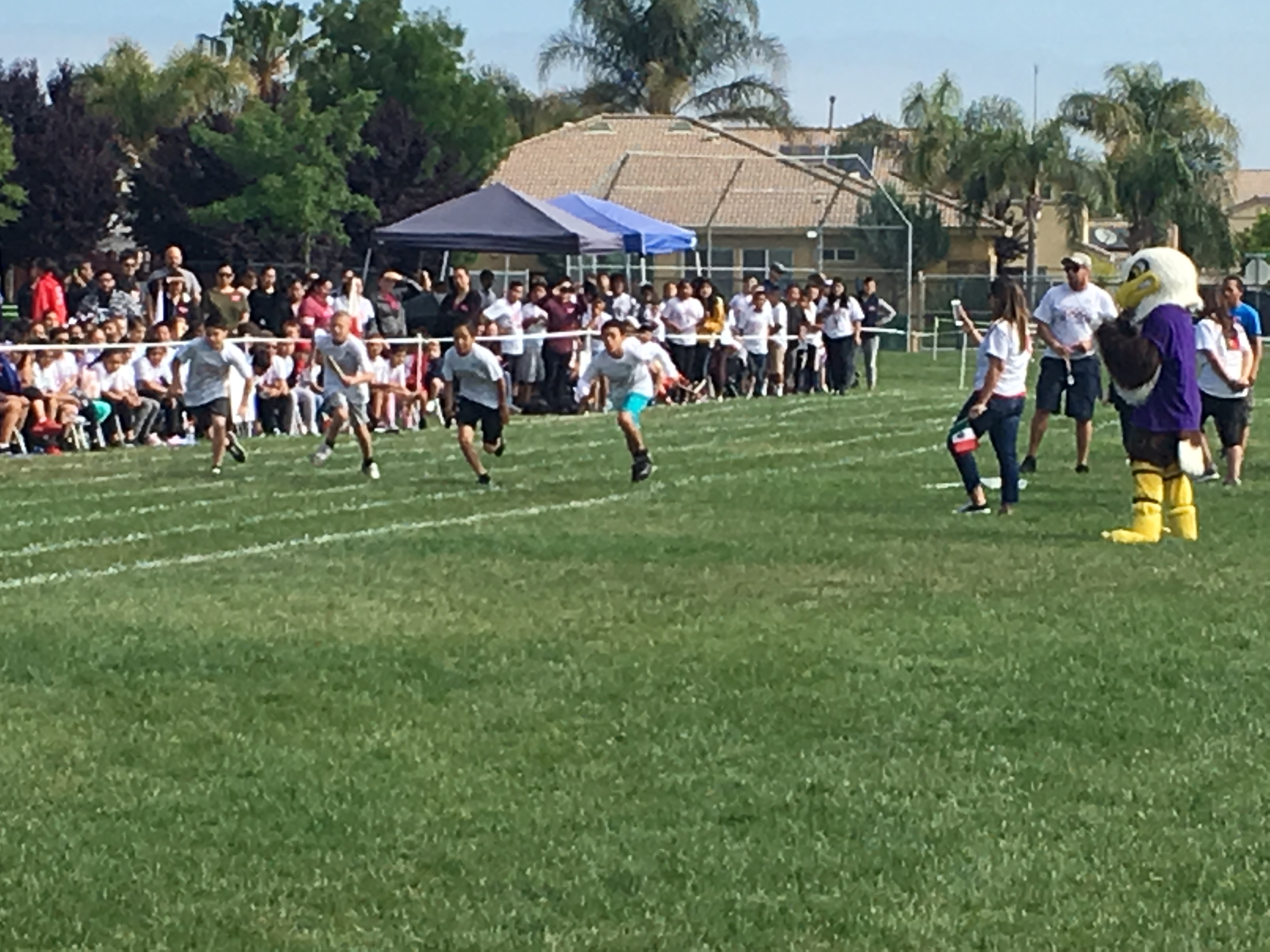 The students all enjoying different activities during their Mini-Olympics
