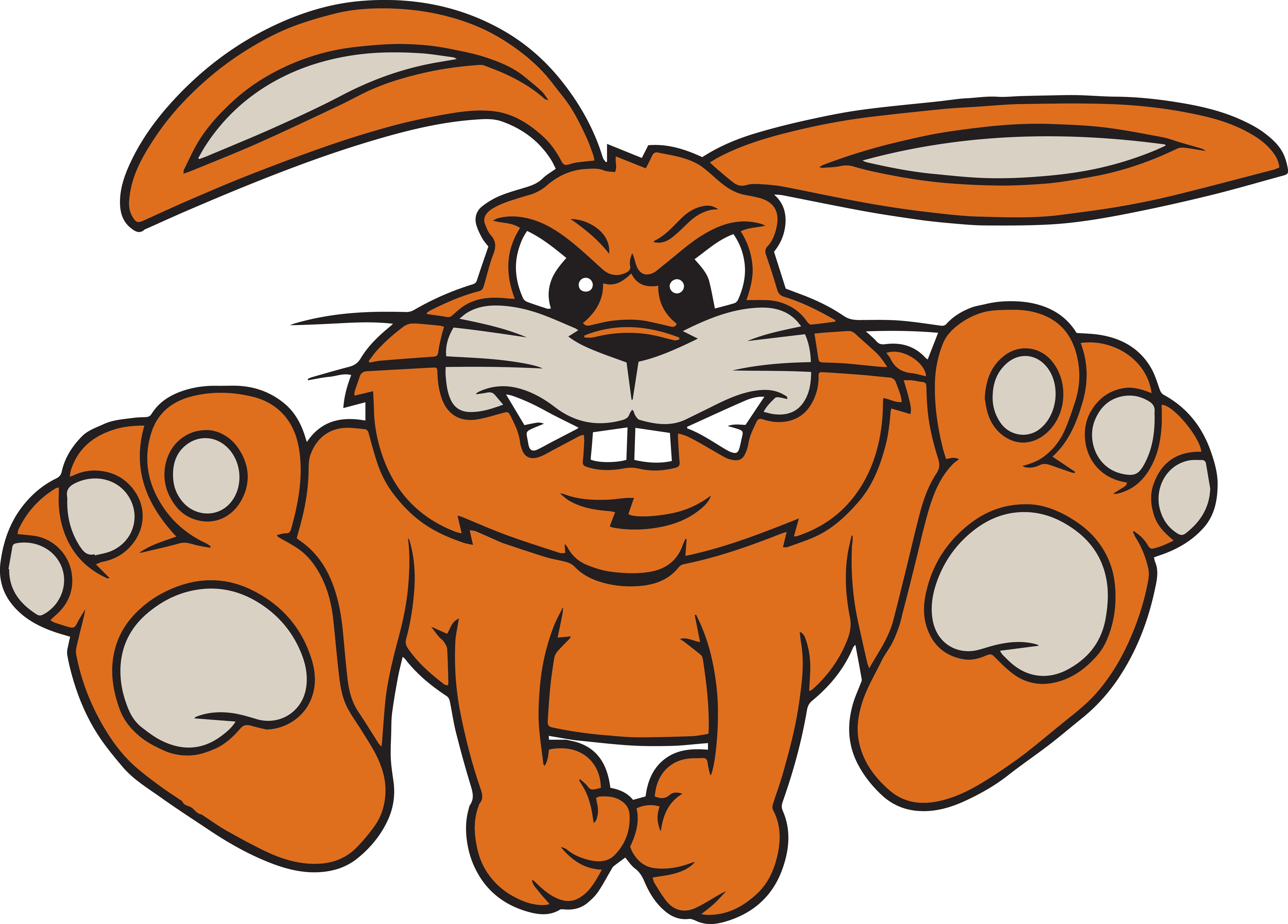 FISHER BUNNIES