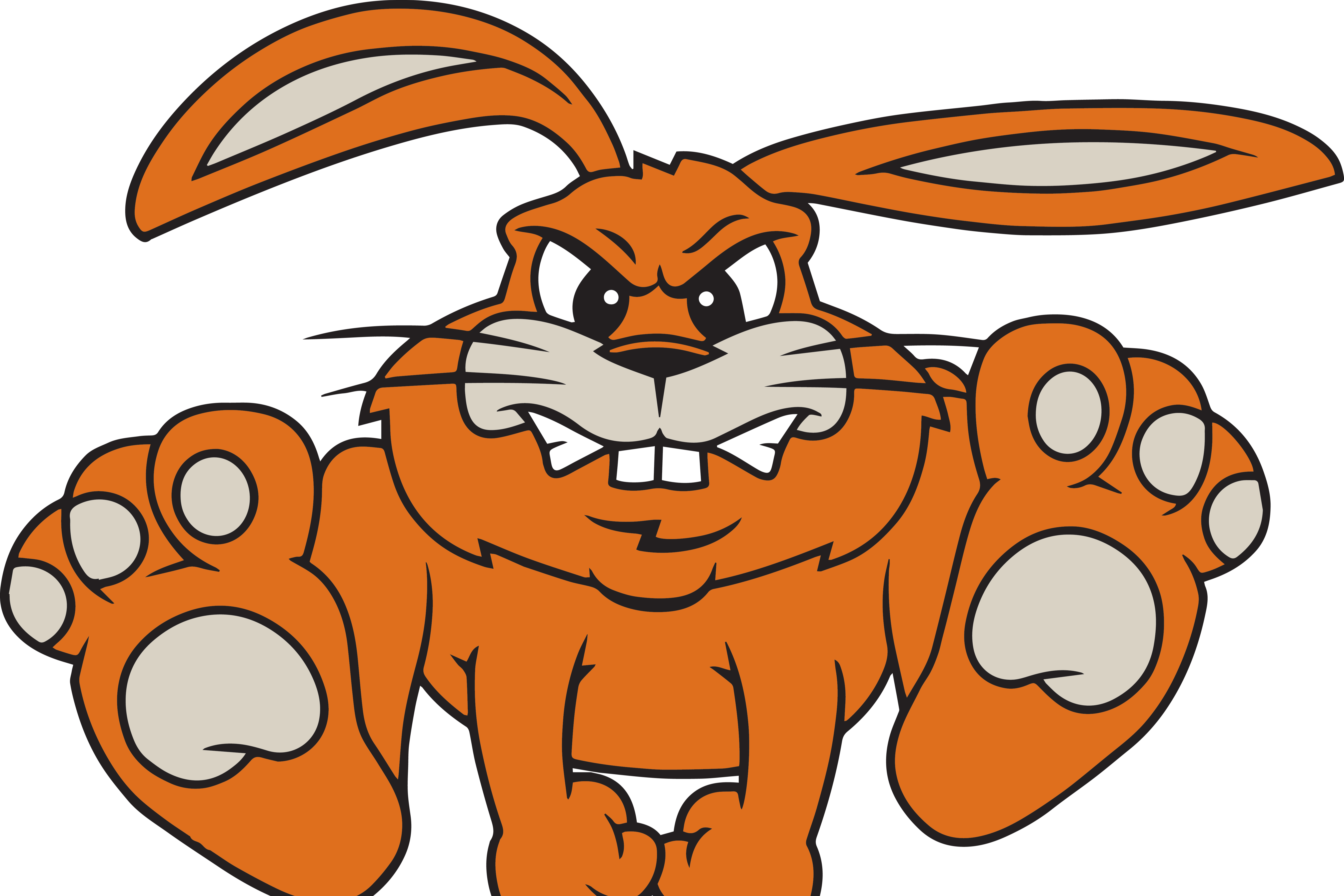 FISHER BUNNIES