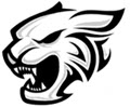 wildcat image