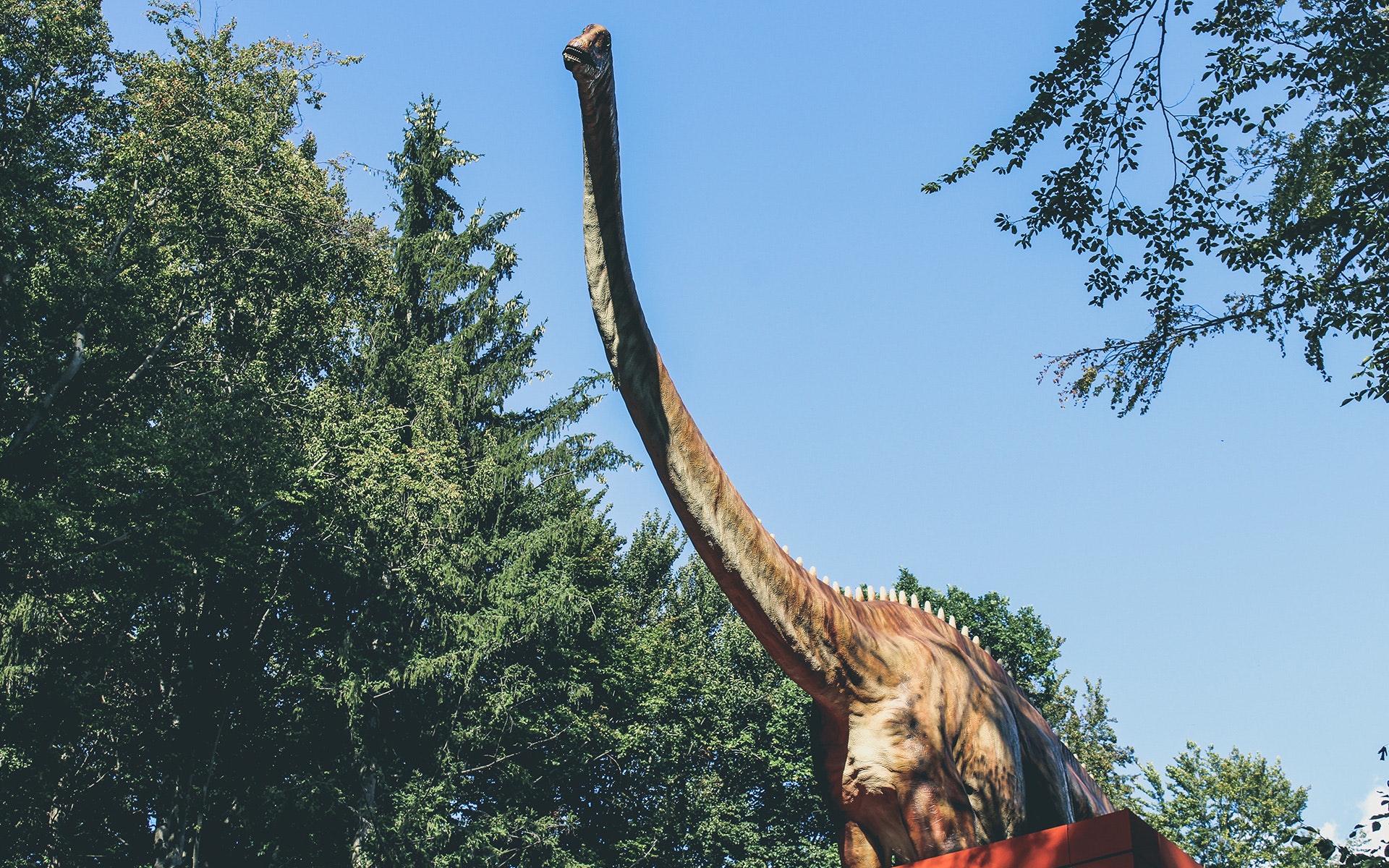 A photo of a dinosaur.
