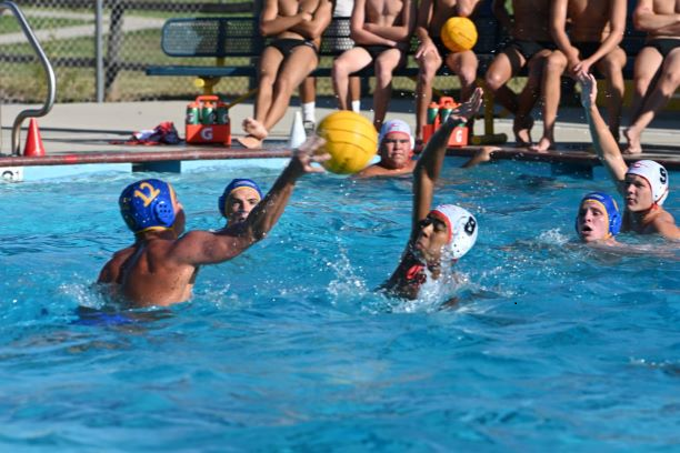 waterpolo