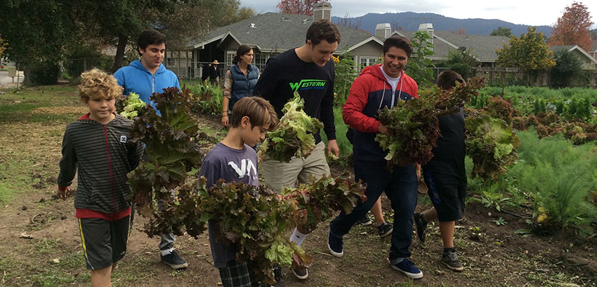 A group of students carrying various plants and trees.