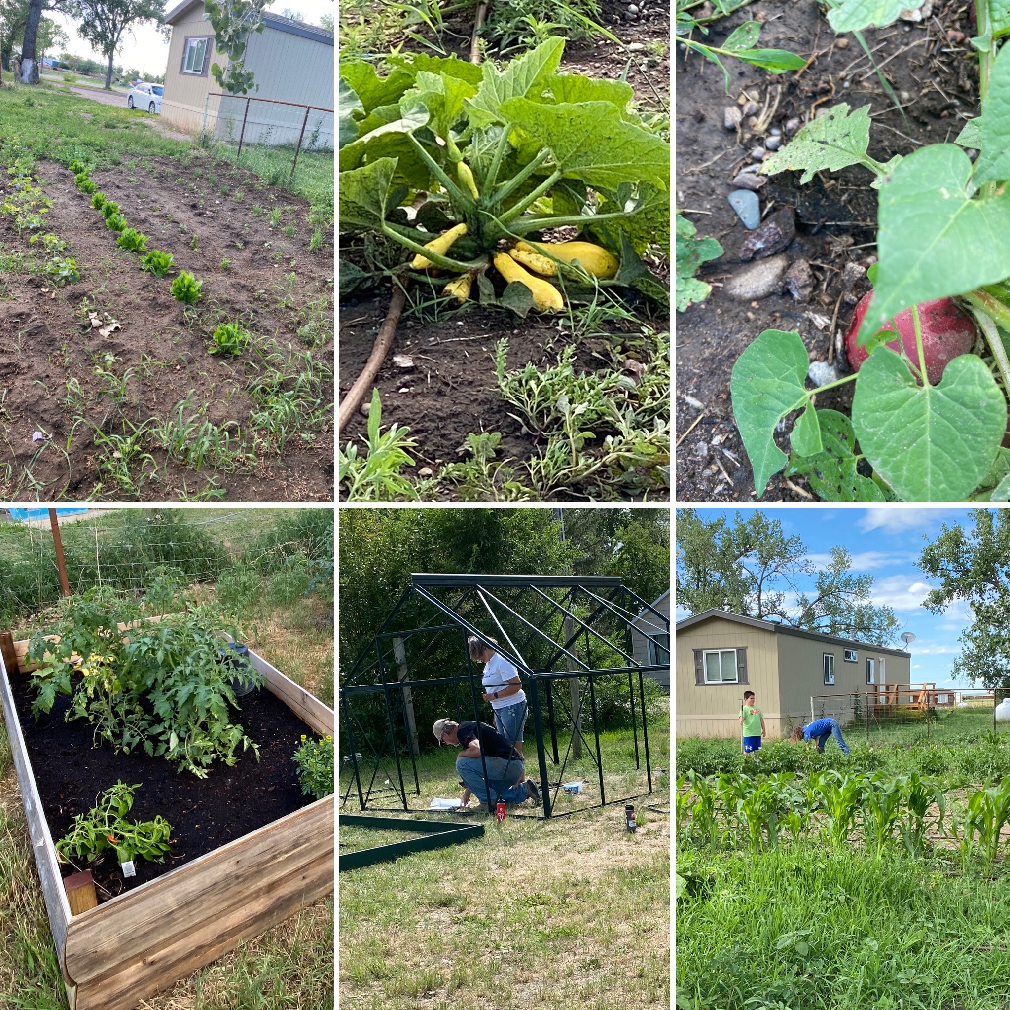 Box Elder School Garden