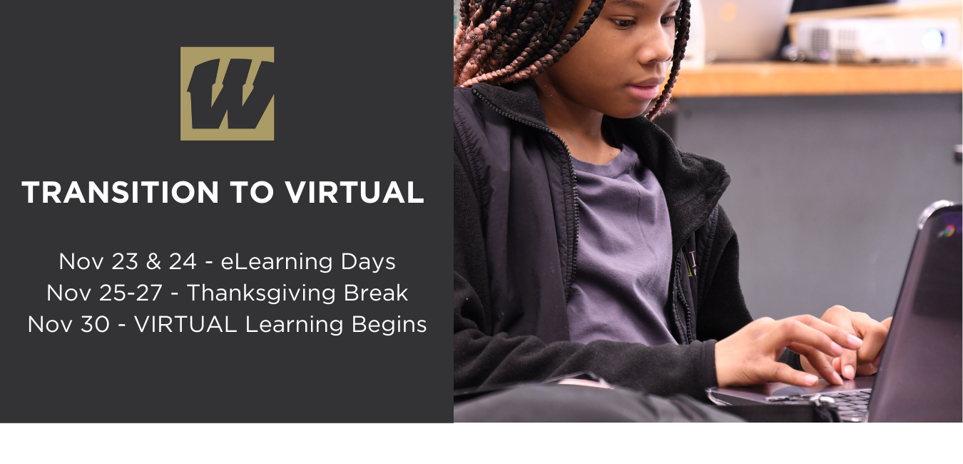 Transition to Virtual