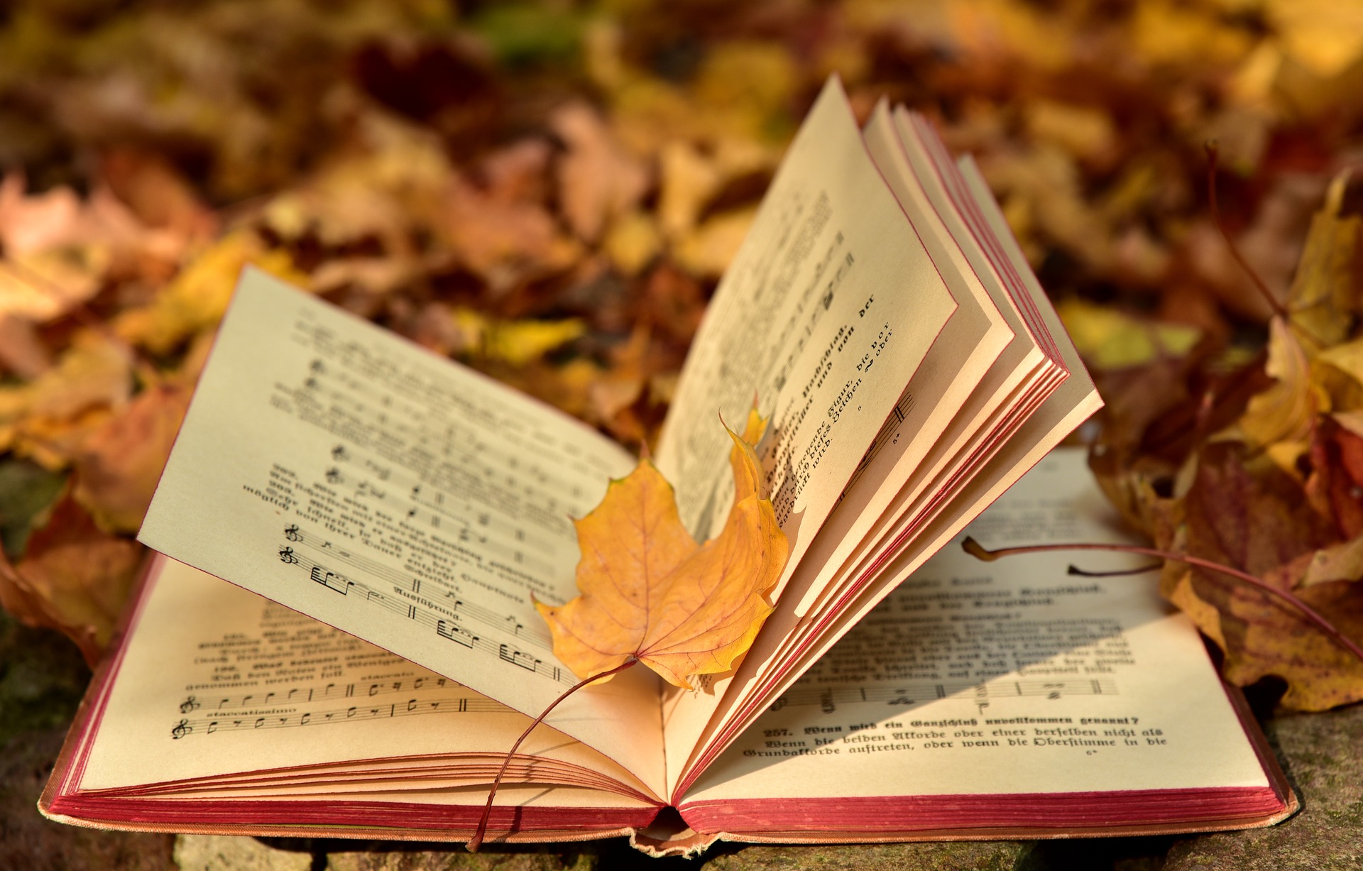 Fall Book