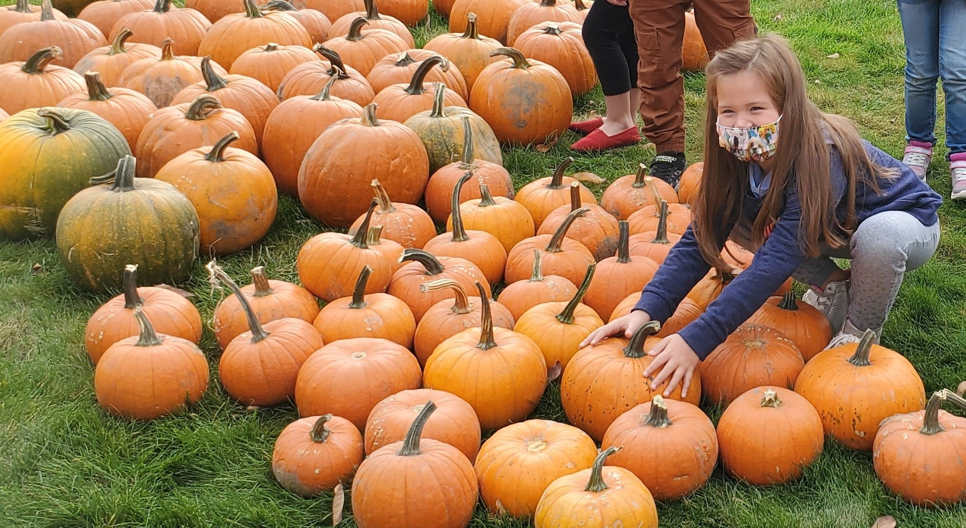 pumpkin delivery