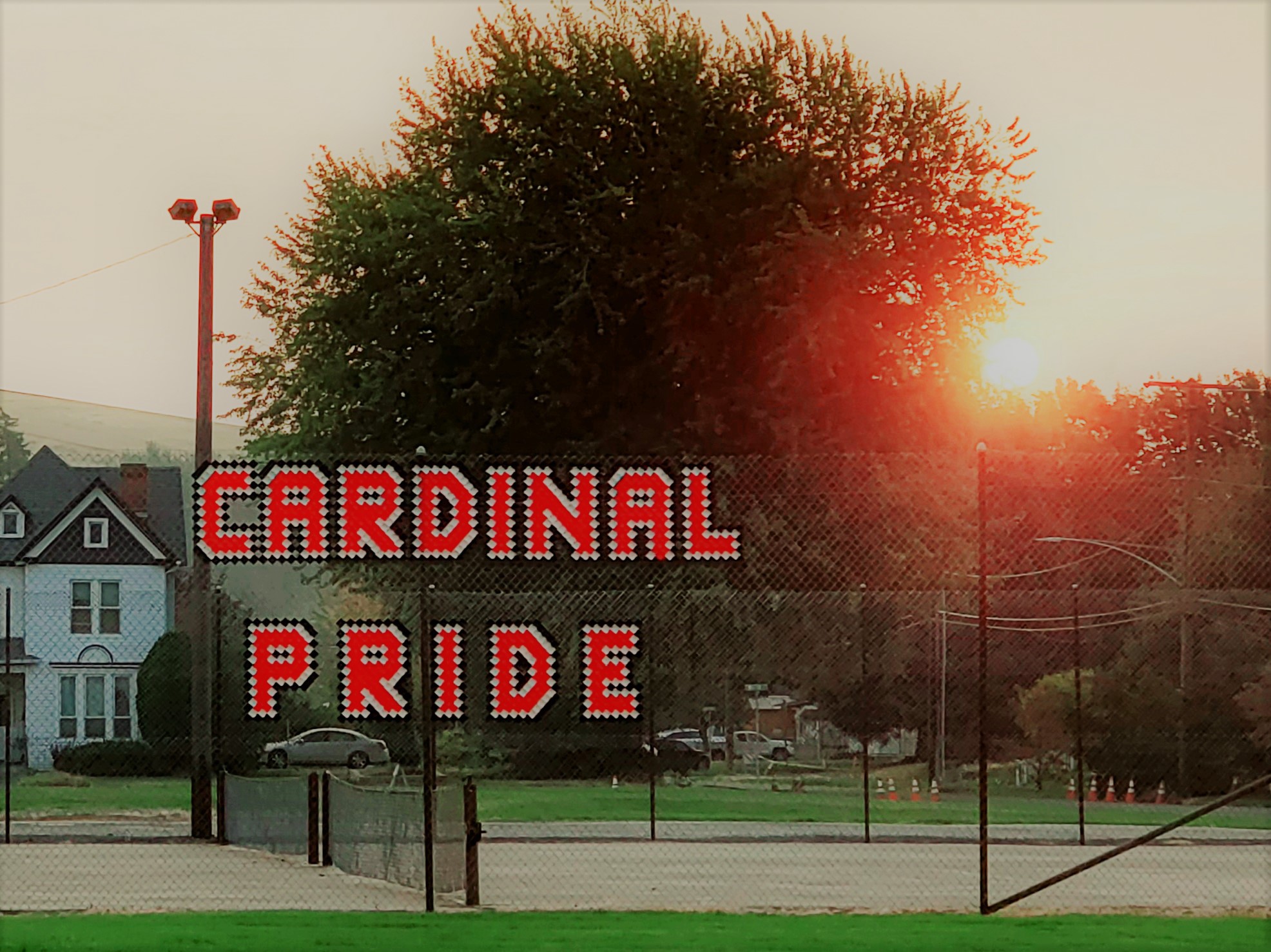 Cardinal Pride