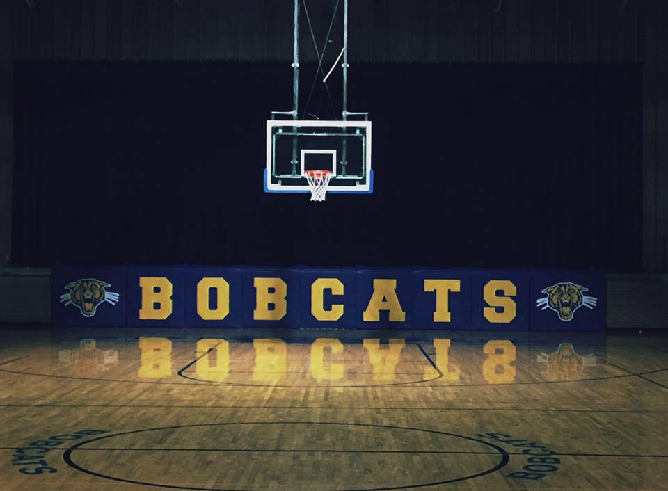 Somonauk CUSD 432 Home of the Bobcats