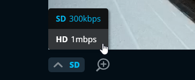 Screenshot of the quality options in a video