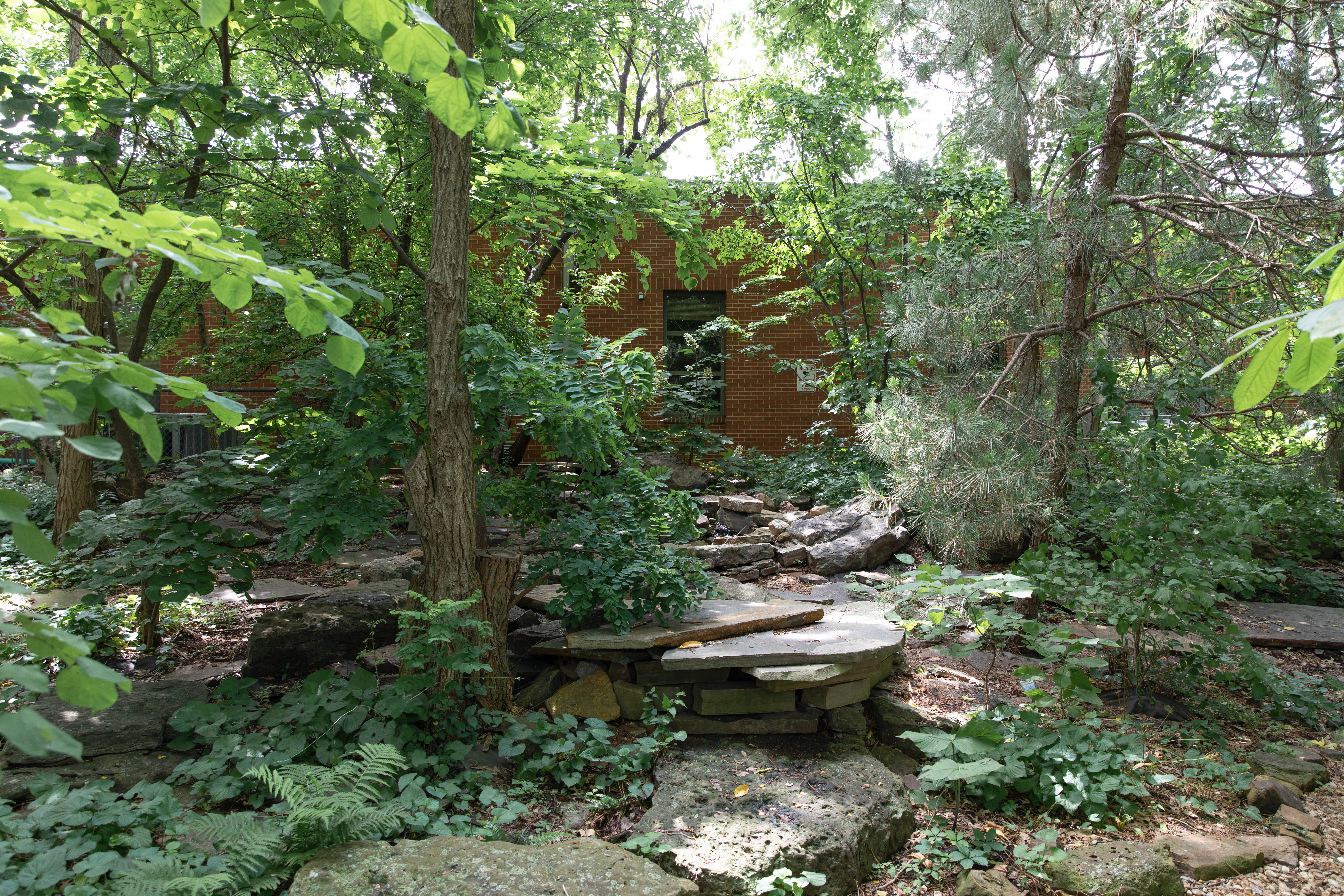 Photo of an outdoor classroom.