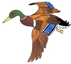 Monitor Elementary logo