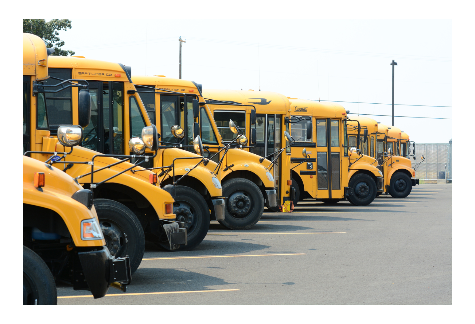 buses