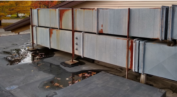 Roof Issues