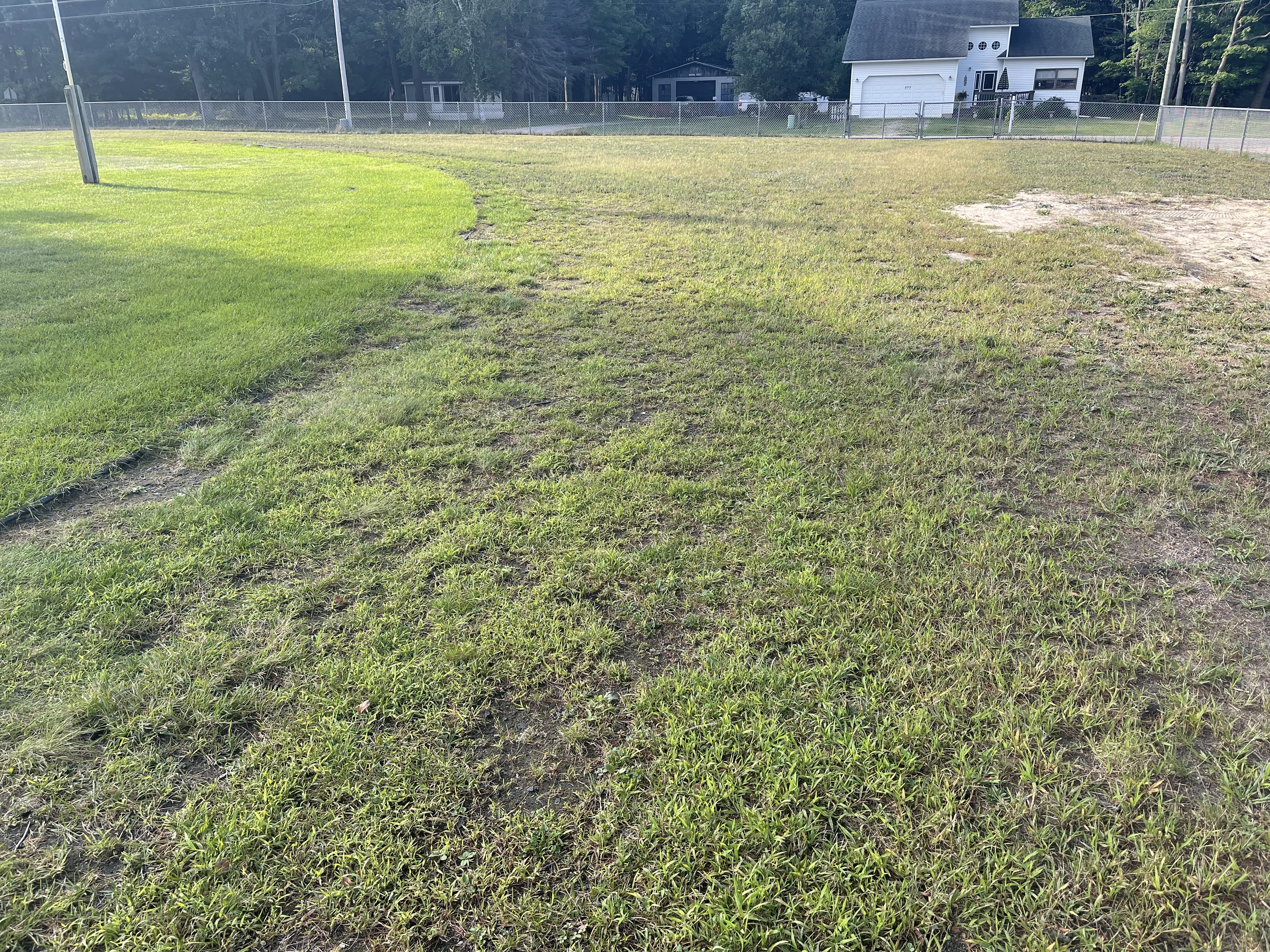 Grass Covered Track Surface