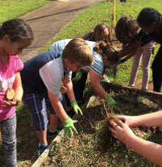 garden club