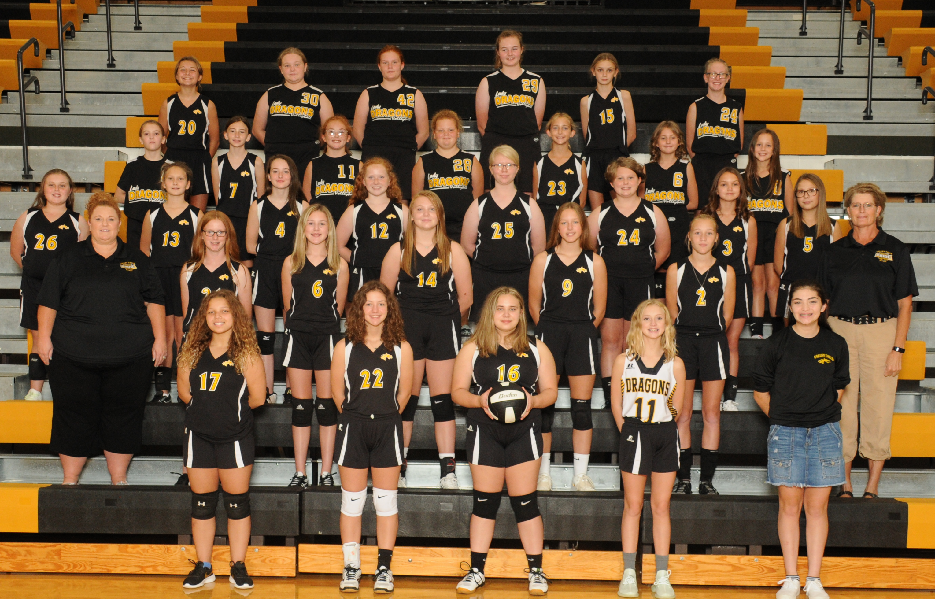 MSVB