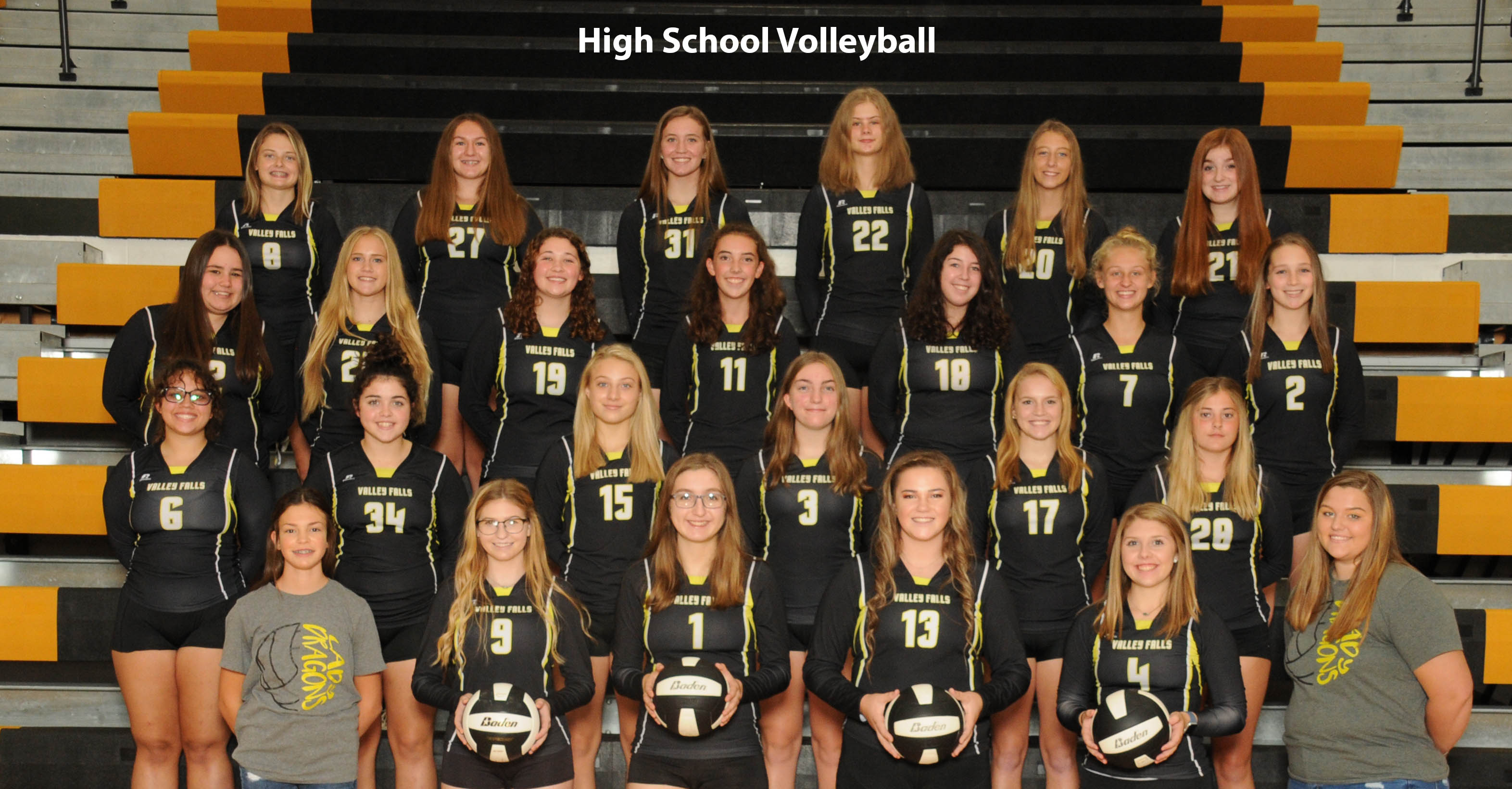 HSVB