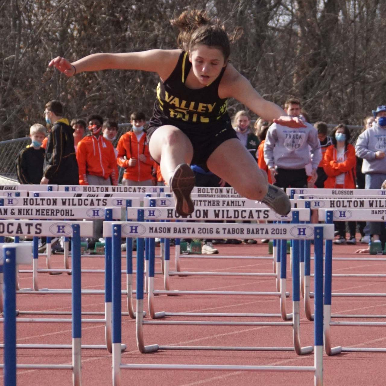 hurdles