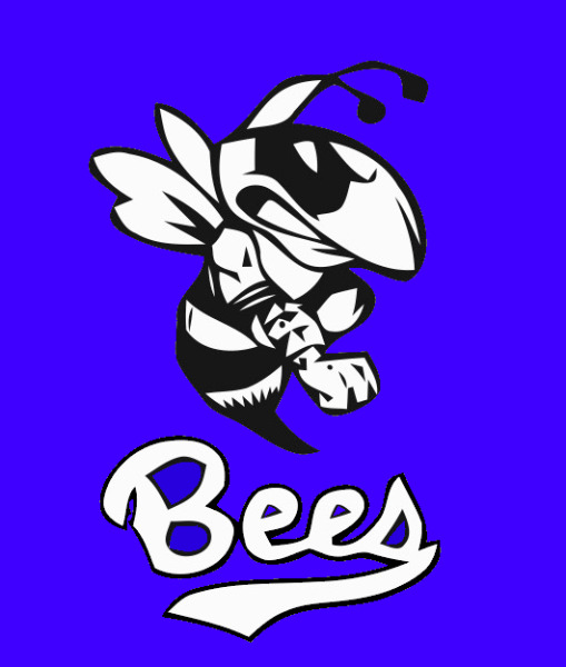 1556035559-1_bee_w_antennae_1