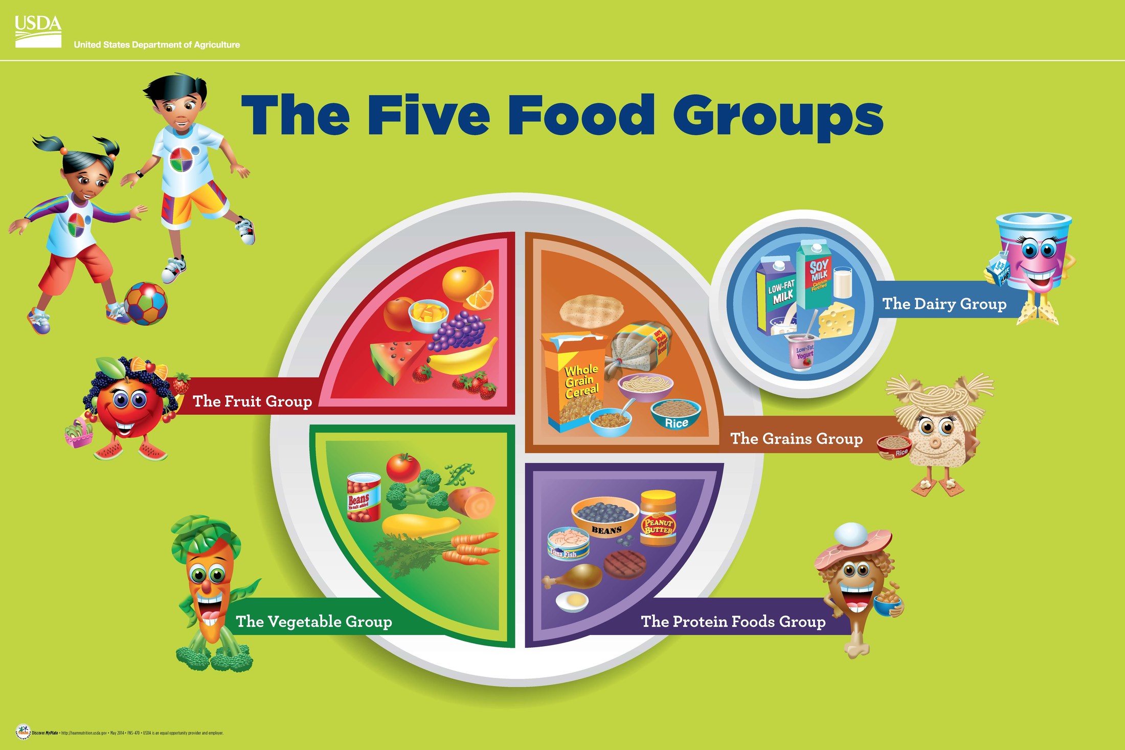 THE FIVE FOOD GROUPS