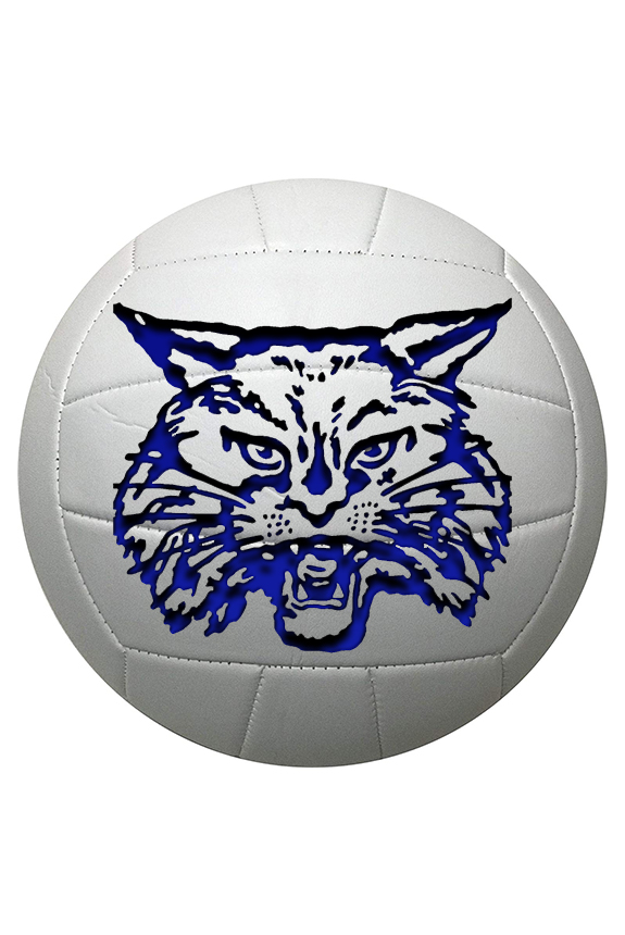 Childress ISD Volleyball
