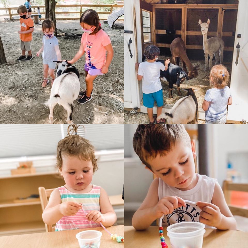 Bay Farm Summer Program