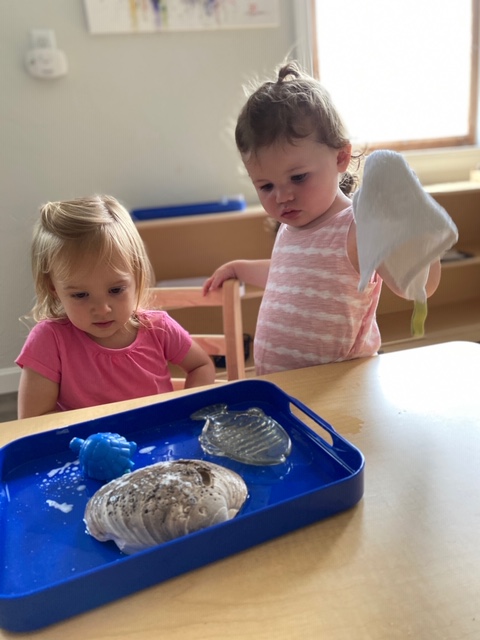 Bay Farm Toddler House