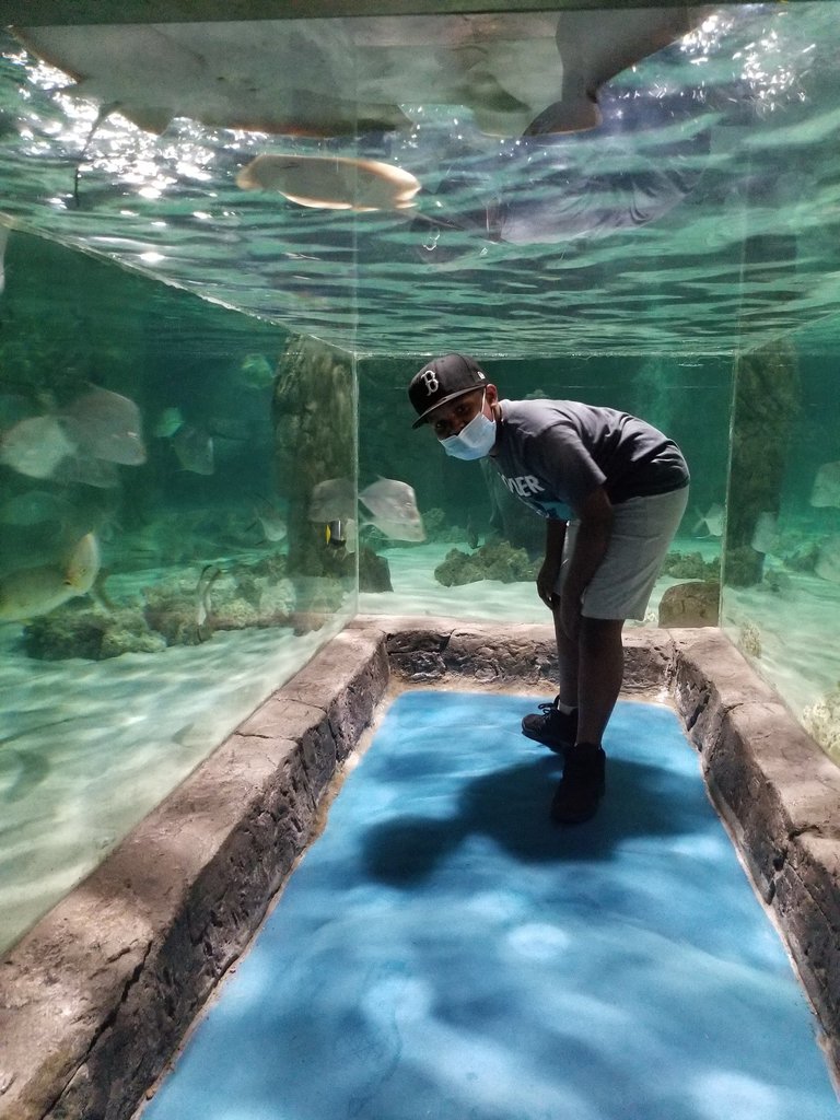 aquarium