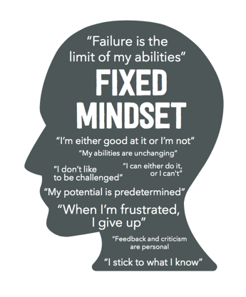 Growth Mindset: Focused on Opportunities for Learning